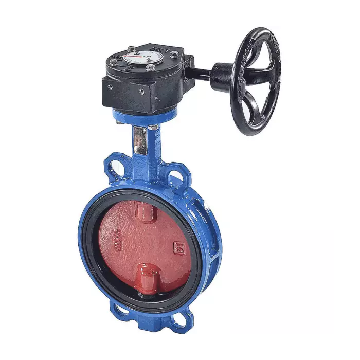 Затвор дисковый гранвэл dn125 pn16 зпвс-fl(w)-3-080-mn-ht-1. Затвор поворотный дисковый межфланцевый tecofi ду 200. Дисковый затвор w ду 80. Затвор ду200 ру16 дисковый. Дисковый затвор ф 203 с редуктором.